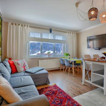 Apartament Zielona Mila Apartment Ustrzyki Dolne Exterior photo